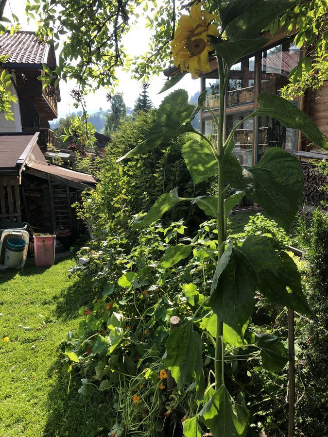 Gaestehaus Lackner Oberau Extérieur photo
